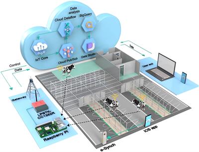 An automated system for cattle reproductive management under the IoT framework. Part I: the e-Synch system and cow responses